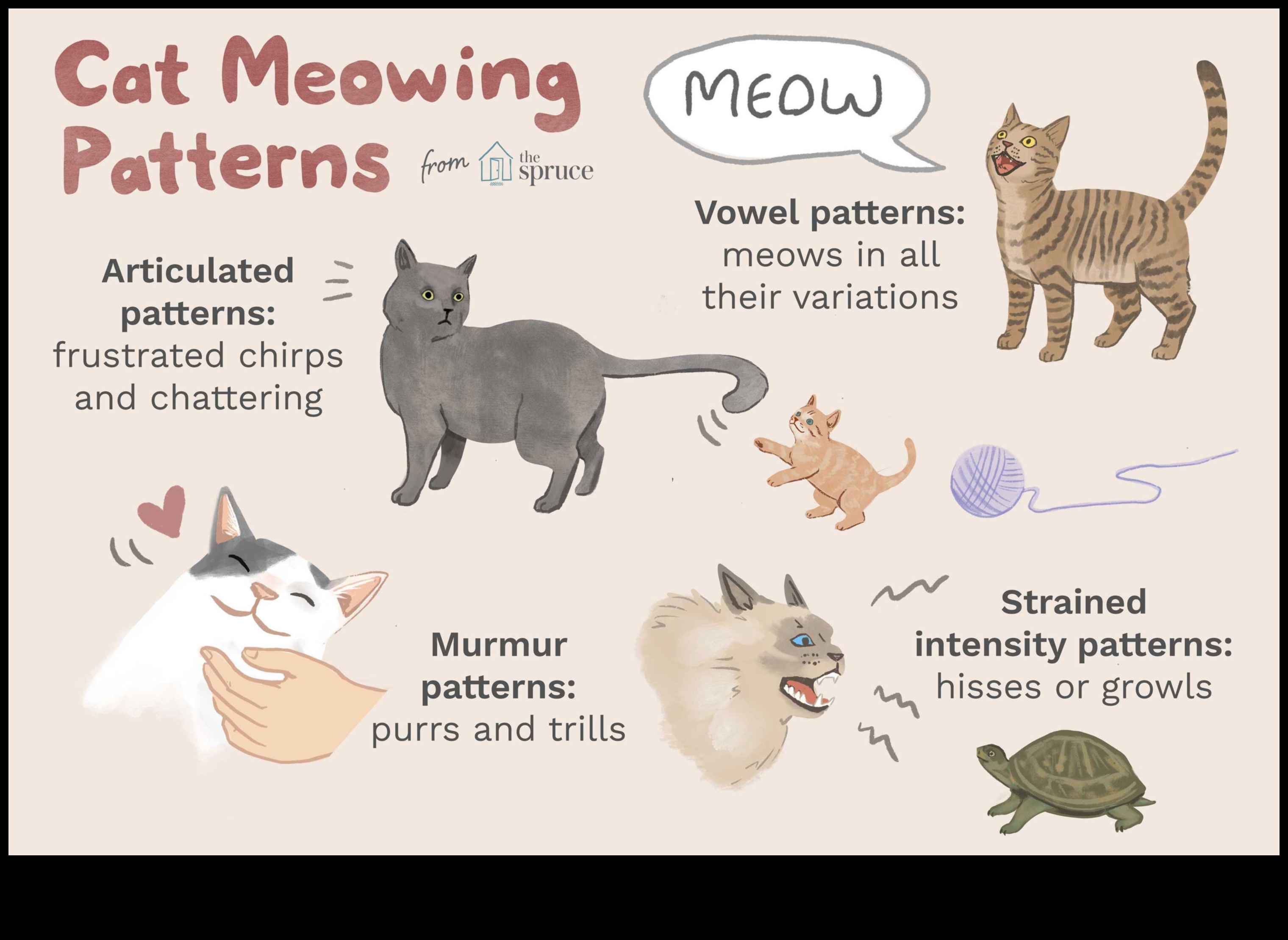 Cat Chit-Chat Decoding Different Cat Vocalizations 2 Cat Chit-Chat: Decoding Different Cat Vocalizations