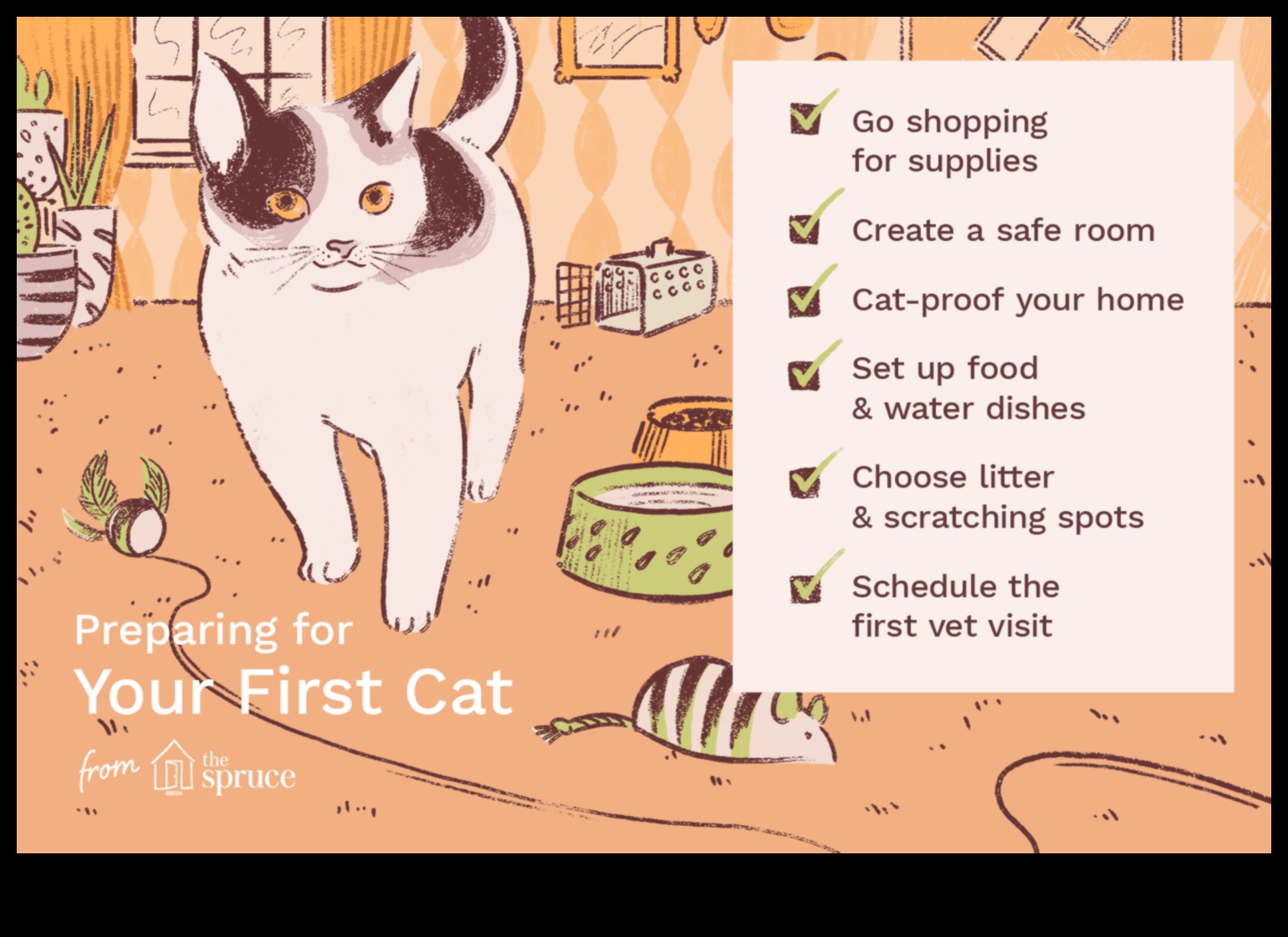 Cat Class: Etiquette Tips for Living with a Feline Companion