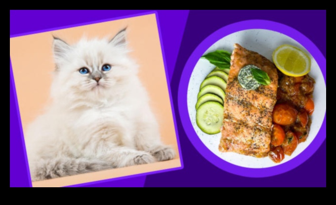 Cat Comfort Cuisine Whipping Up Nutritious Meals for Your Kitty 1