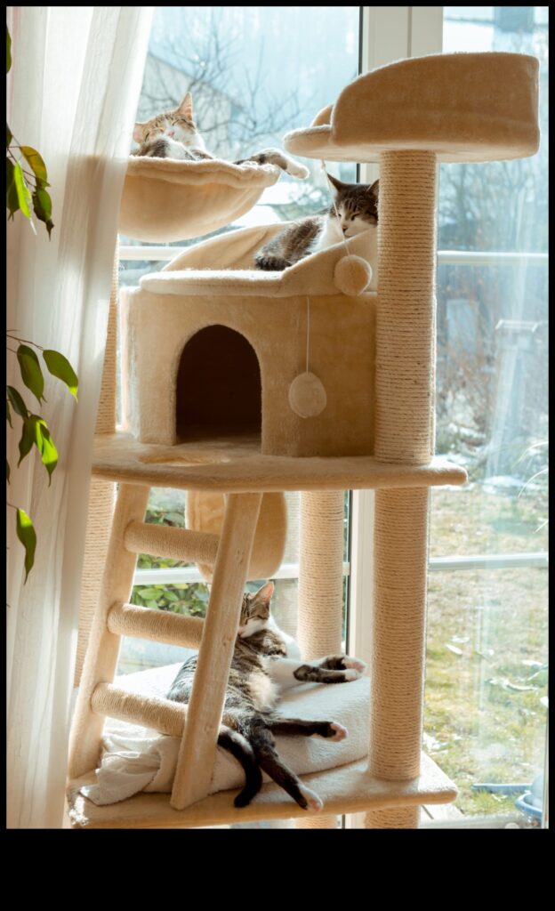Cat Condo Construction DIY Climbing Structures for Cats 1