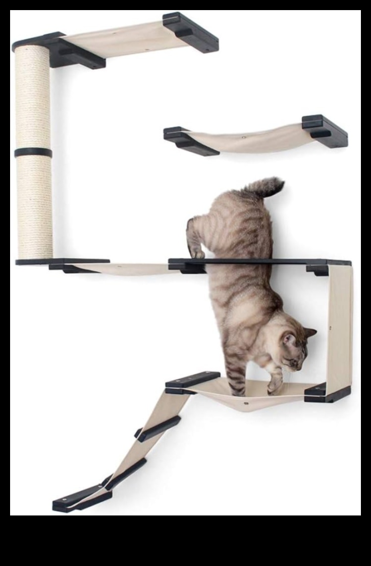 Cat Condo Crafting Continued Elevate Your Cat's Vertical Exploration 4 Cat Condo Crafting Continued: Enhancing Vertical Exploration