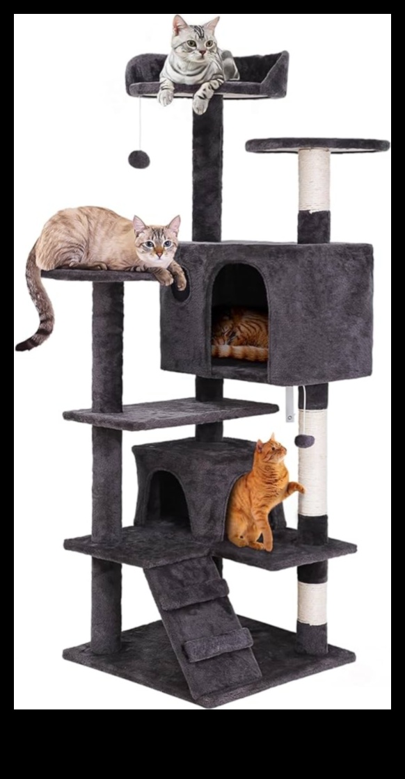 Cat Condos Continued: Elevated Structures for Vertical Exploration