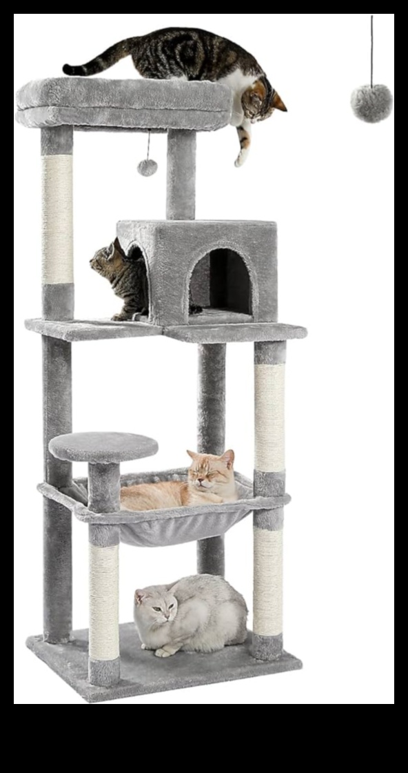 Cat Condos Continued: Elevated Structures for Vertical Exploration