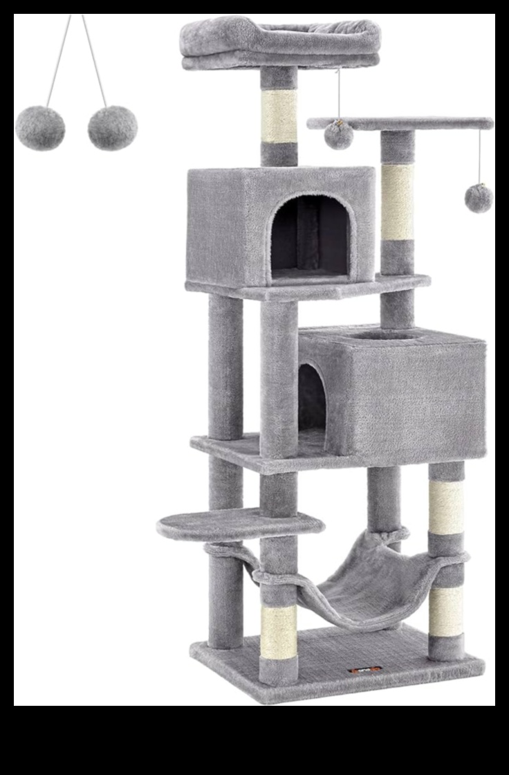 Cat Condos Continued: Elevated Structures for Vertical Exploration