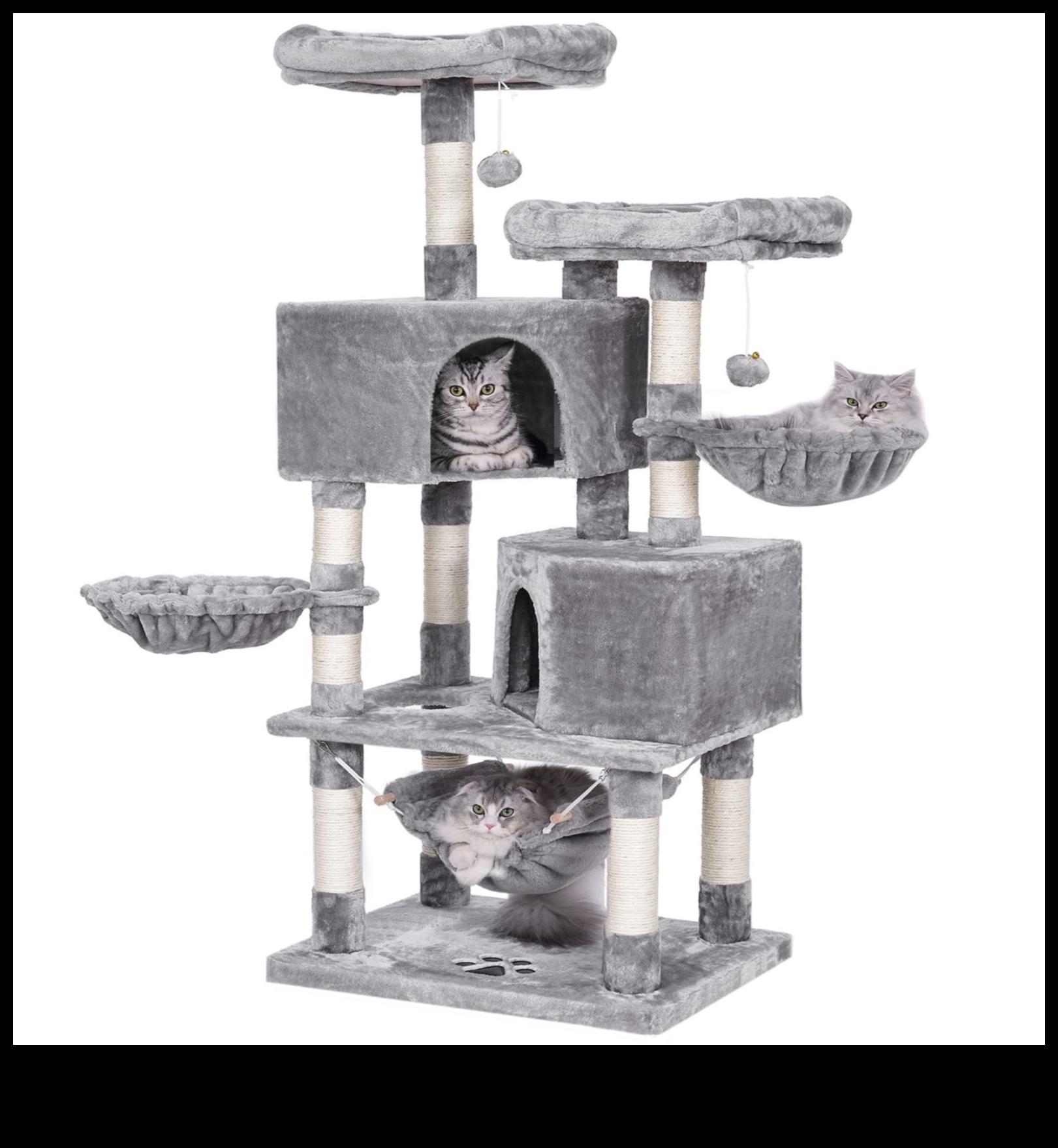Cat Condos Continued: Elevated Structures for Vertical Exploration