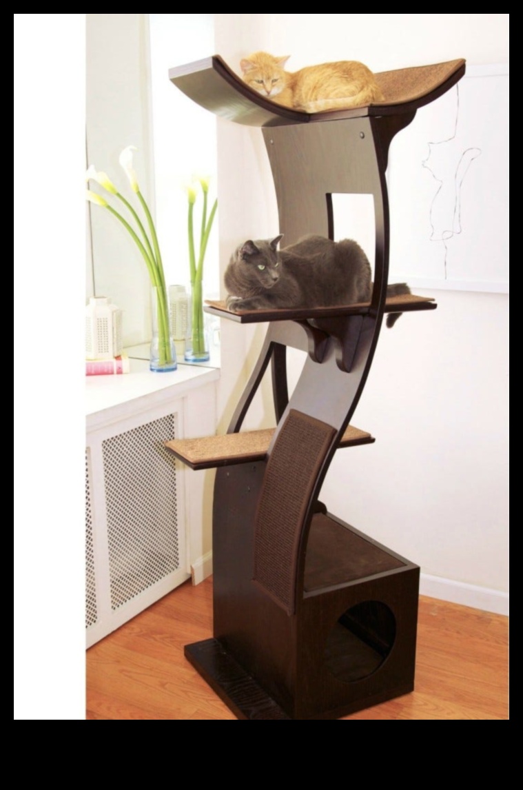 Cat Condos: Creating Vertical Spaces for Feline Exploration