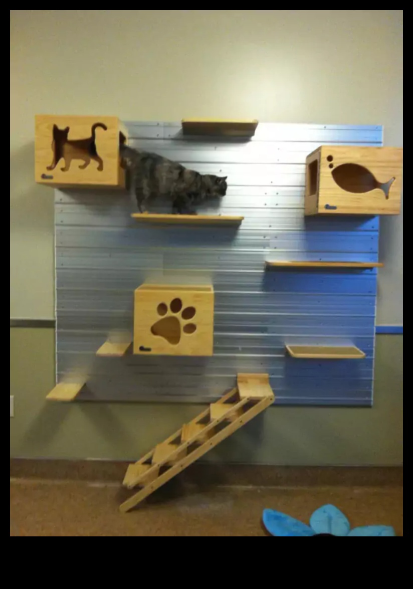 Cat Condos: Creating Vertical Spaces for Feline Exploration