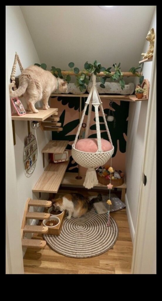 Cat Craft Corner Creative Projects for Feline Enrichment 1