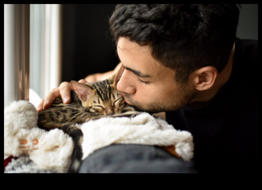 Cat Cuddles Creating Moments of Affection with Your Feline Friend 1