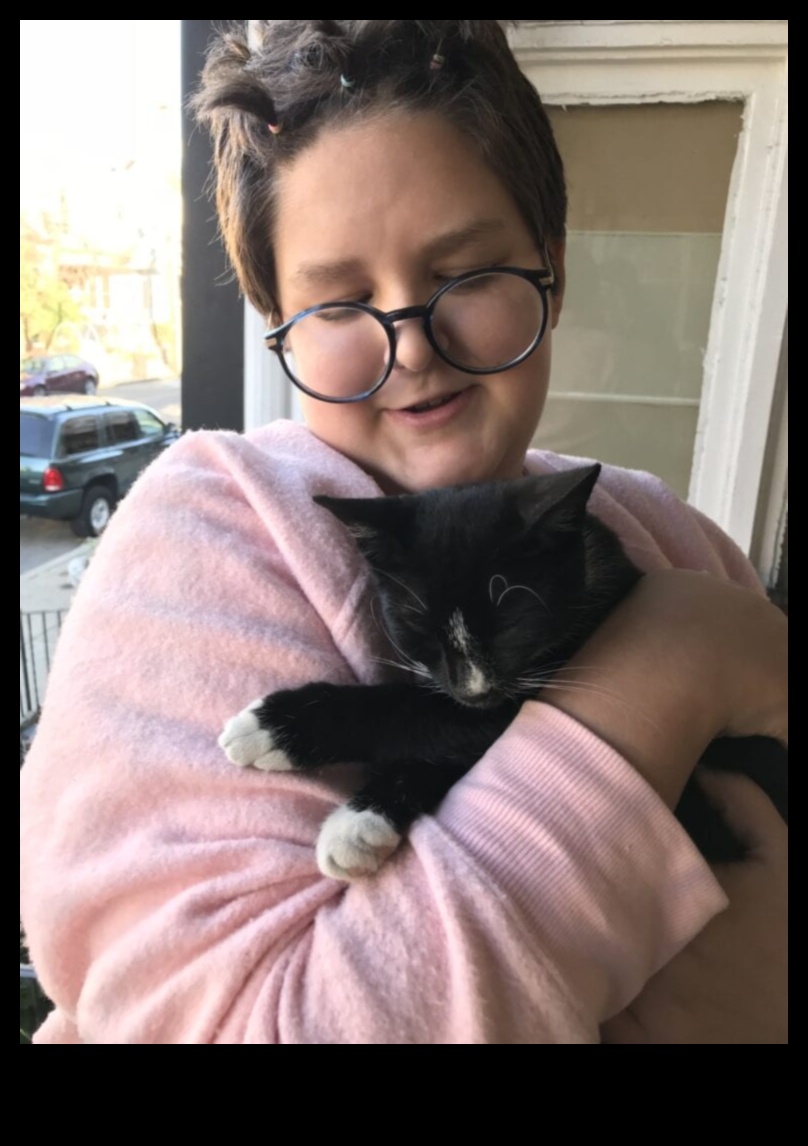 Cat Cuddles: Creating Moments of Affection with Your Feline Friend