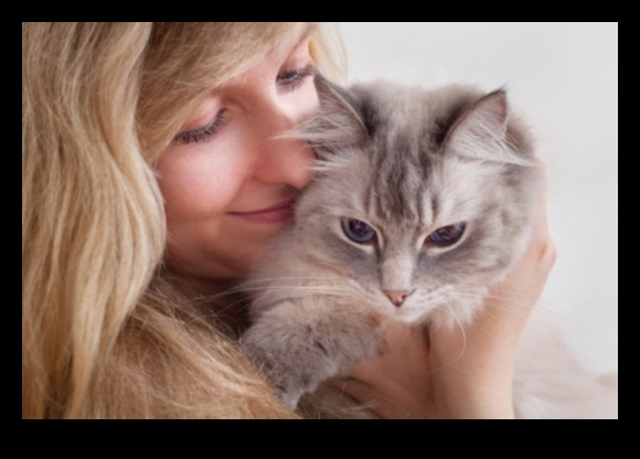 Cat Cuddles: Creating Moments of Affection with Your Feline Friend