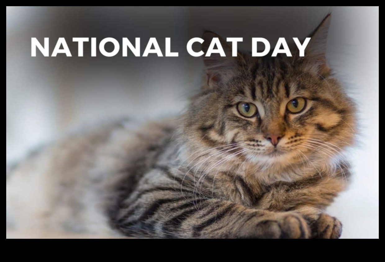 Cat Culture: Celebrating Feline Influences Around the World