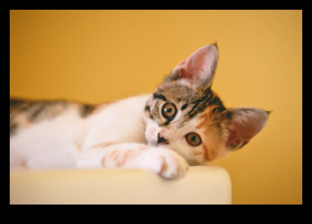 Cat Culture: Celebrating Feline Influences Around the World