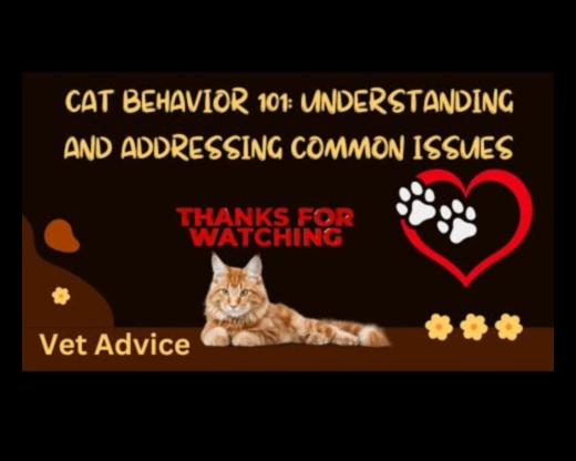 Cat-astrophic Cuties: Understanding and Addressing Cat Behavior