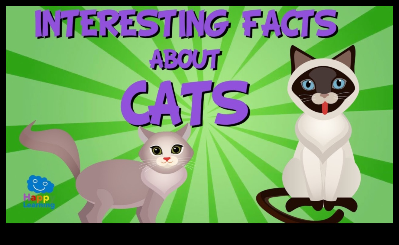 Cat-eresting Facts: Discovering Intriguing Tidbits About Cats