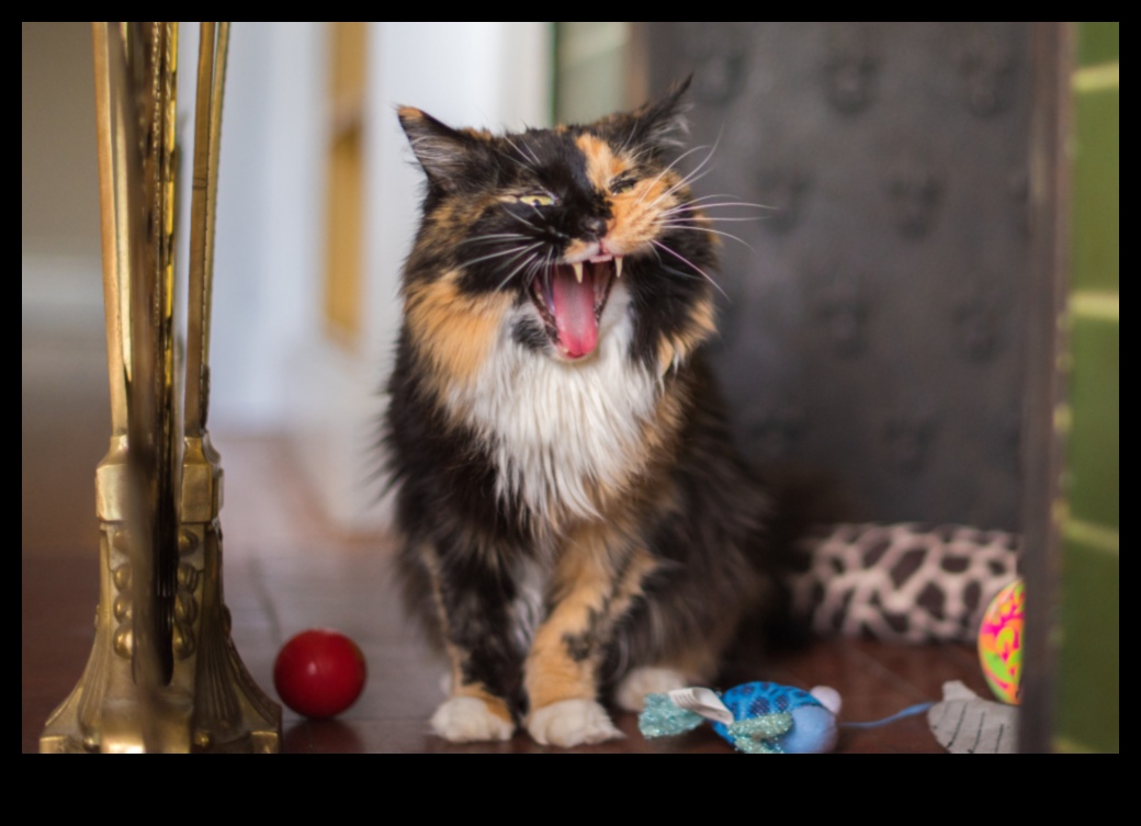 Cat-erwauling Chronicles Continued: Managing Cat Vocalizations