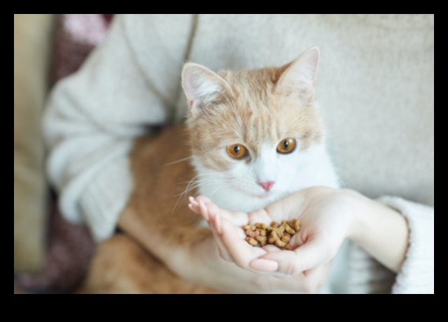 Catnap Chronicles Continued: Understanding Different Sleep Patterns