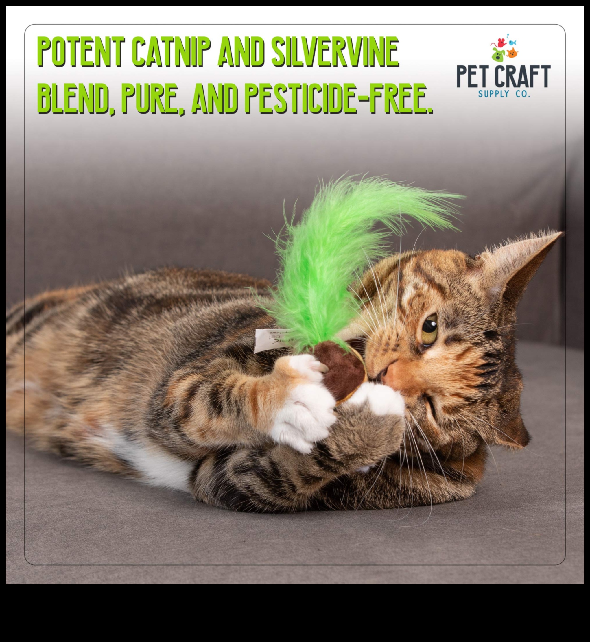 Catnip Crafts Carnival: Crafting Extravaganza for Feline Friends