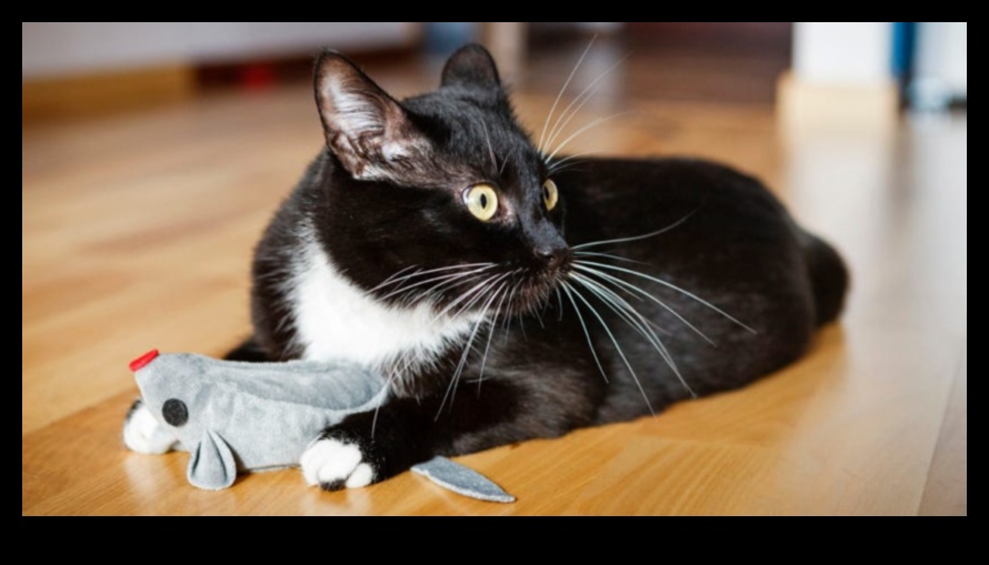 Catnip Crafts Continued: Creative DIY Projects for Feline Entertainment