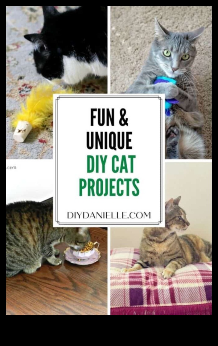 Catnip Crafts Continued: Creative DIY Projects for Feline Entertainment