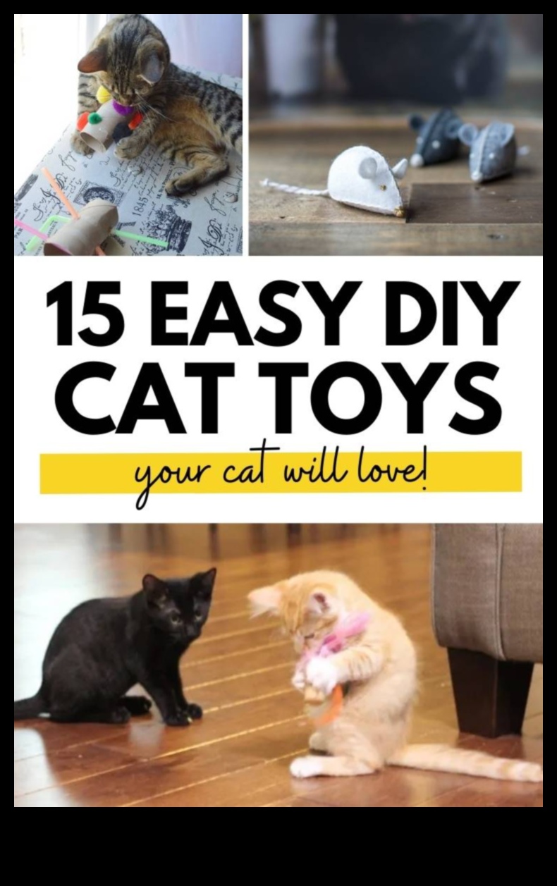 Catnip Crafts Continued: Creative DIY Projects for Feline Entertainment