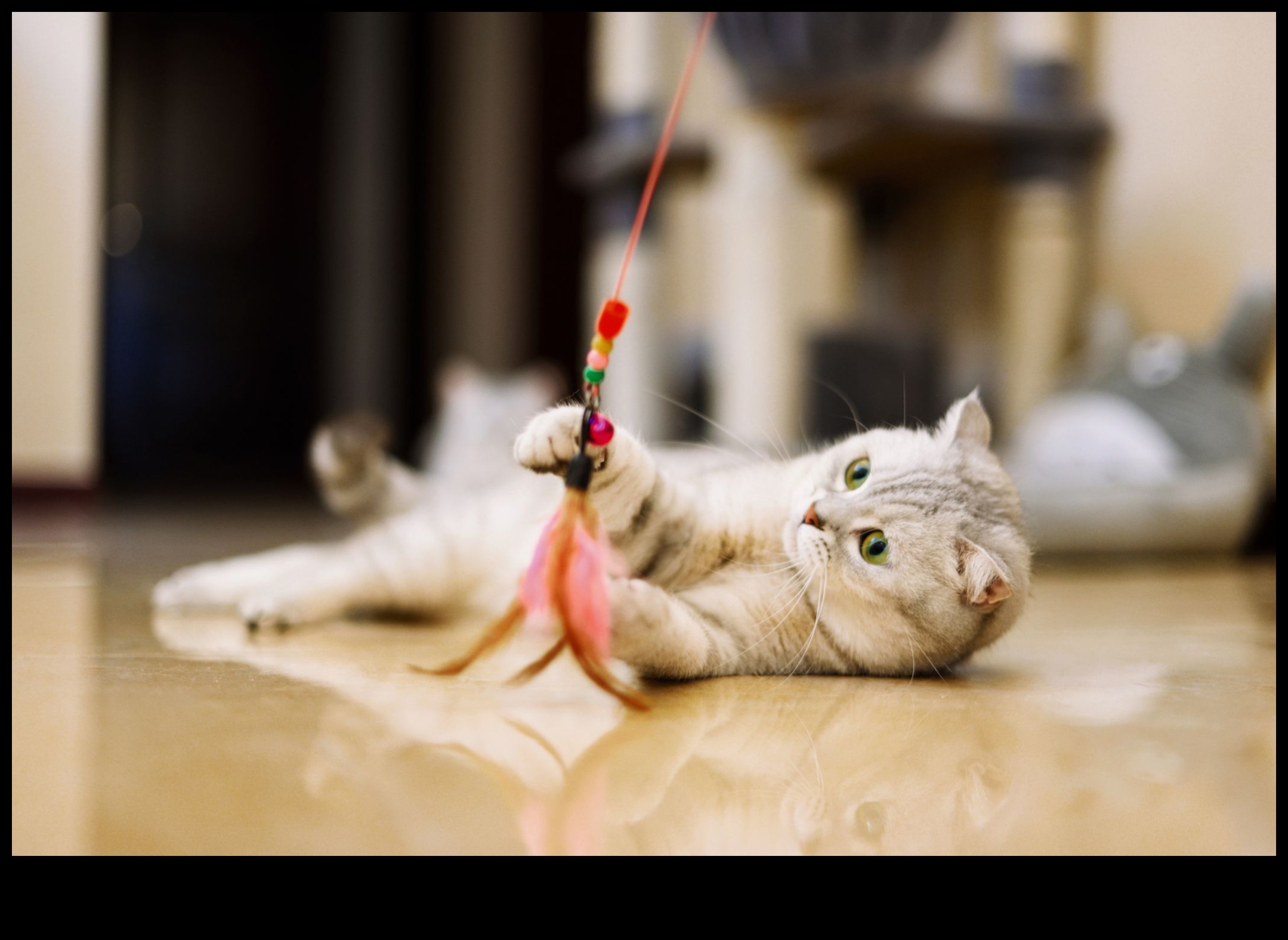 Catnip Crafts Continued: Creative DIY Projects for Feline Entertainment