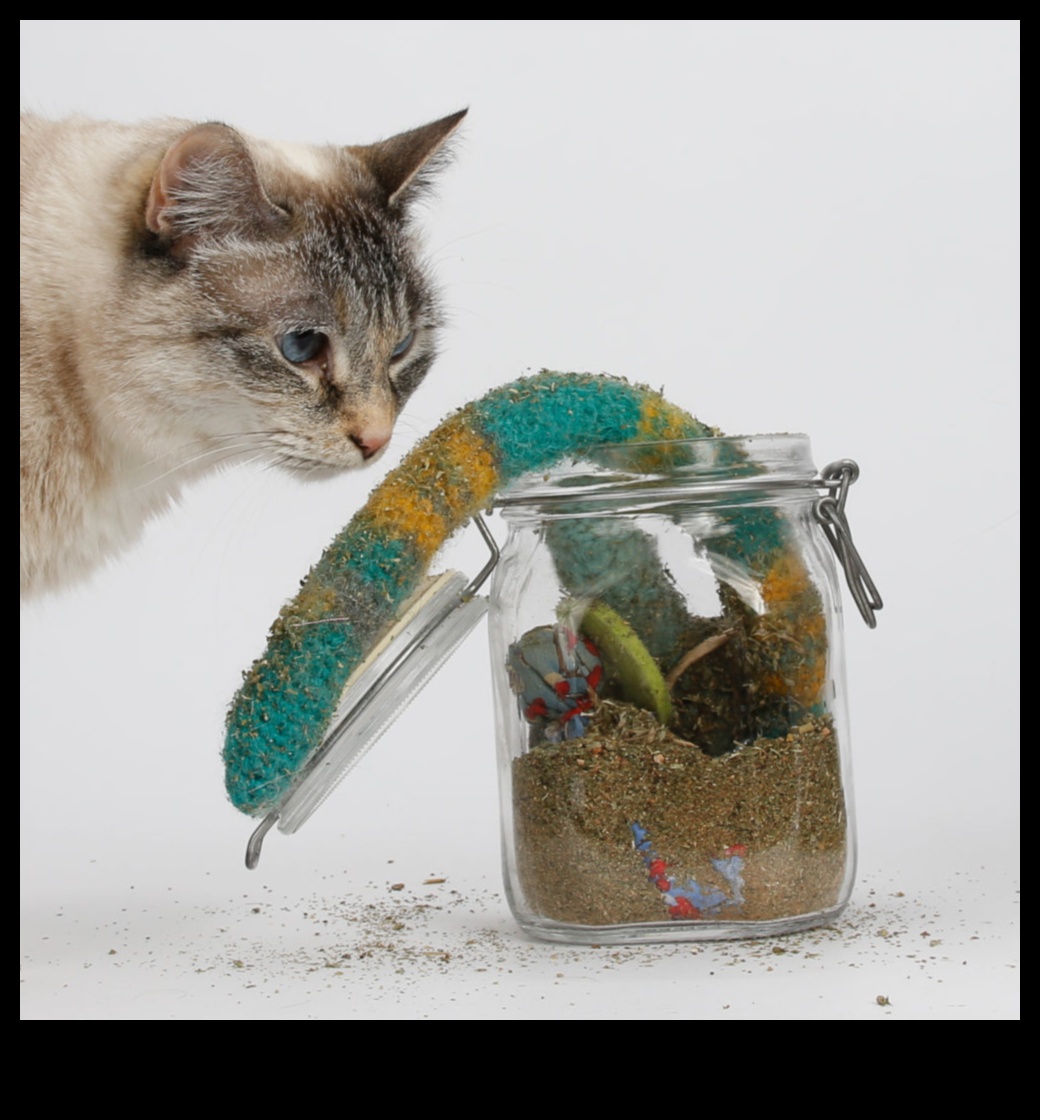 Catnip Crafts: Making DIY Toys Infused with Catnip