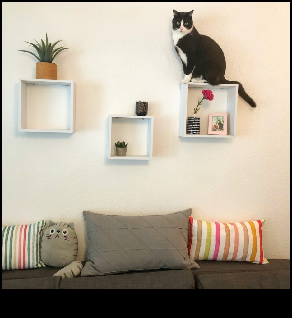 Catwalk Confessions Stylish Interior Design Tips for Cat-Friendly Homes 1