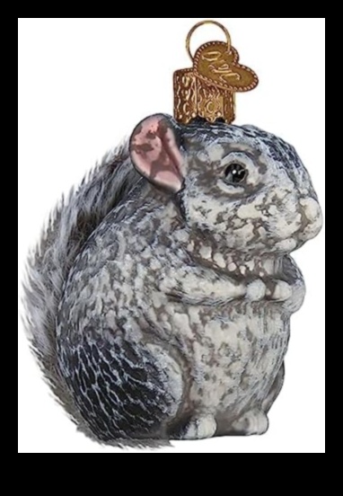 Chic Chinchilla Continued How to Keep Your Rodent Stylish with Adornments 1