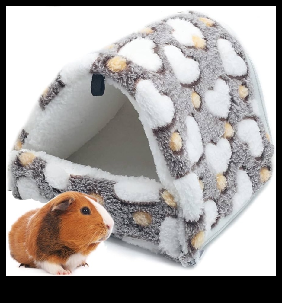Chic Chinchilla: Accessorizing Your Pet Rodent in Style