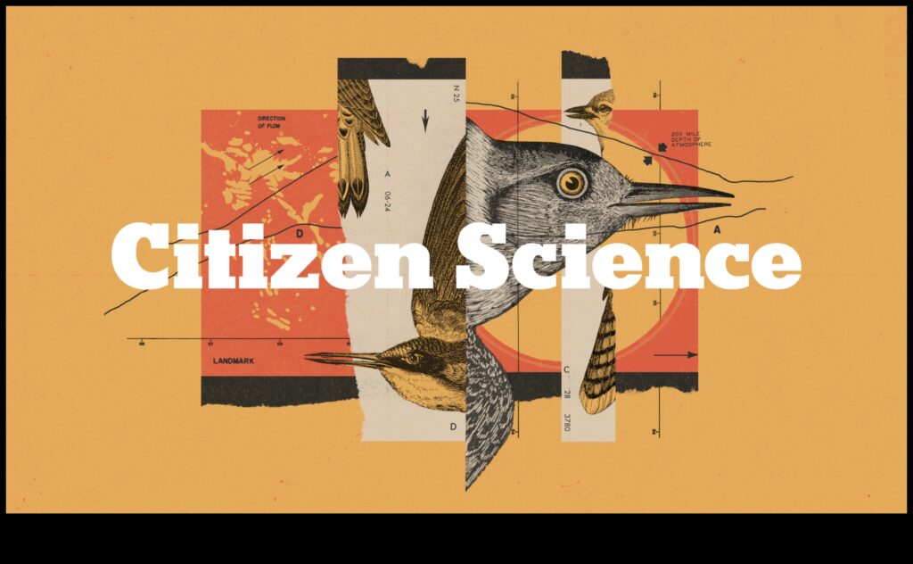 Chirp Chronicles Bird Behavior Through the Seasons 1