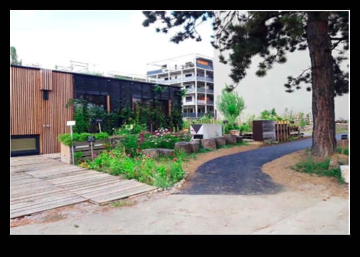 City Park Planks: Outdoor Workouts in Metropolitan Green Spaces