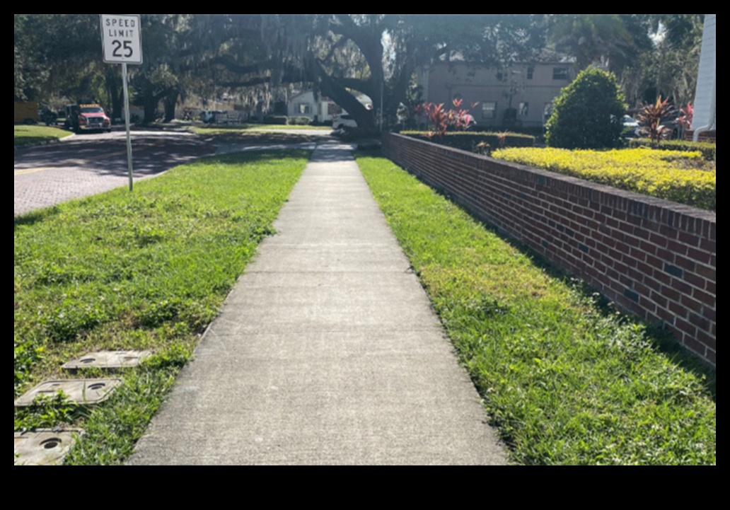 City Sidewalks: Navigating Urban Pathways on Foot