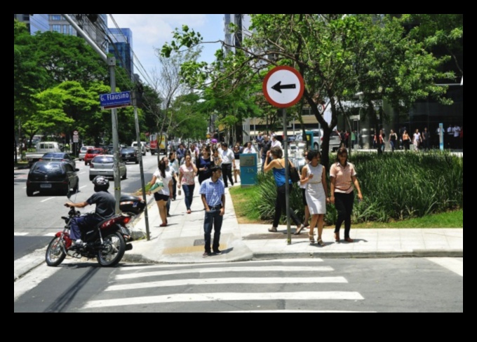 City Sidewalks: Navigating Urban Pathways on Foot