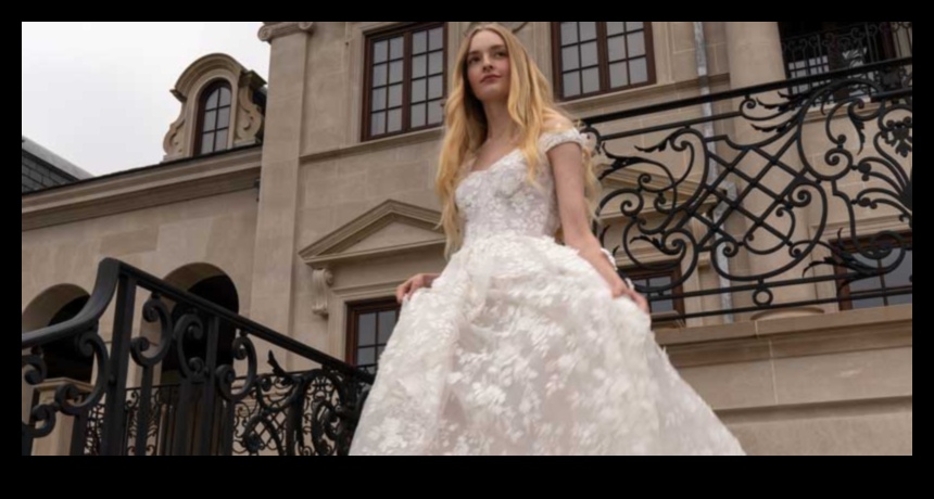 Classic Radiance Bridal Attire Bliss for the Modern Bride 2 Classic Radiance: Bridal Attire Bliss
