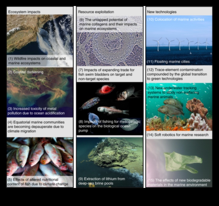 Coastal Chronicles Continued: Exploring Diverse Marine Ecosystems