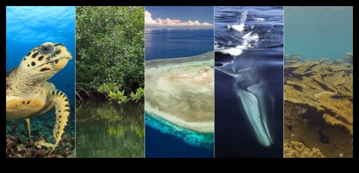 Coastal Conservation Chronicles: Success Stories in Marine Preservation