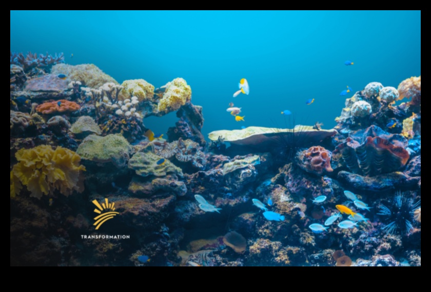 Coastal Conservation Continued: Innovative Strategies for Ocean Protection