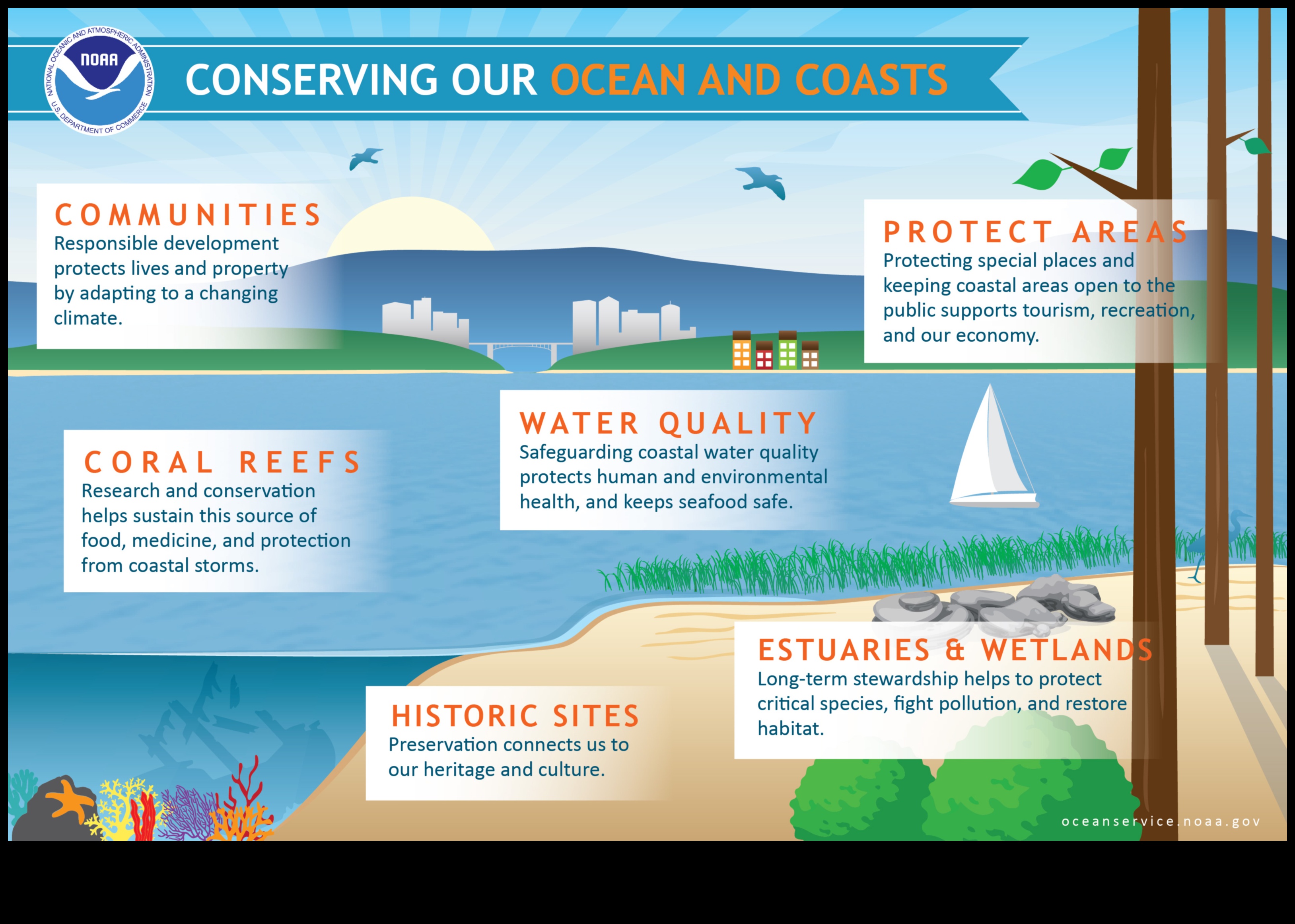 Coastal Conservation Continued: Innovative Strategies for Ocean Protection