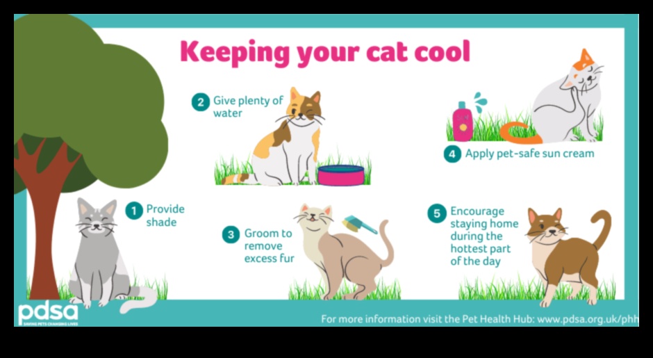 Cool Cats: Tips for Keeping Your Cat Comfortable in Hot Weather