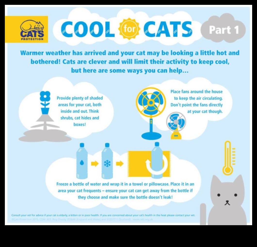 Cool Cats: Tips for Keeping Your Cat Comfortable in Hot Weather