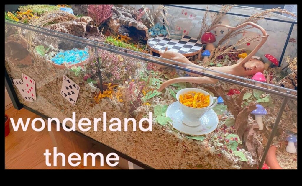Crafting a Hamster Wonderland Themed Environments for Engagement 1