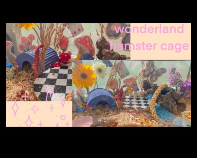 Crafting a Hamster Wonderland: Themed Environments for Engagement