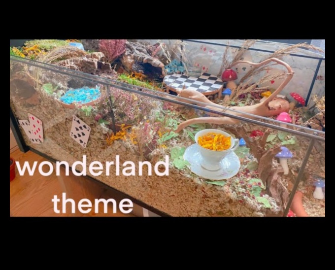 Crafting a Hamster Wonderland: Themed Environments for Engagement