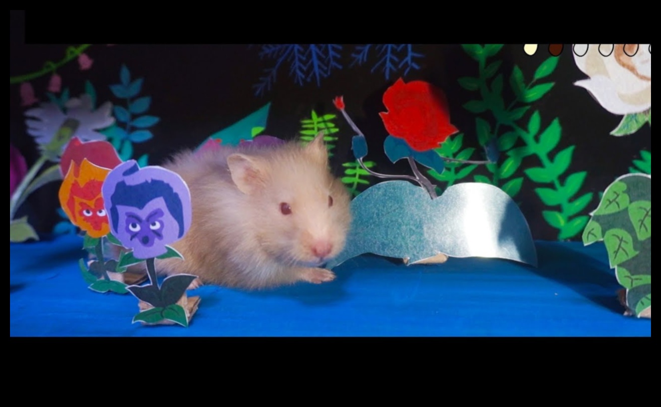 Crafting a Hamster Wonderland: Themed Environments for Engagement