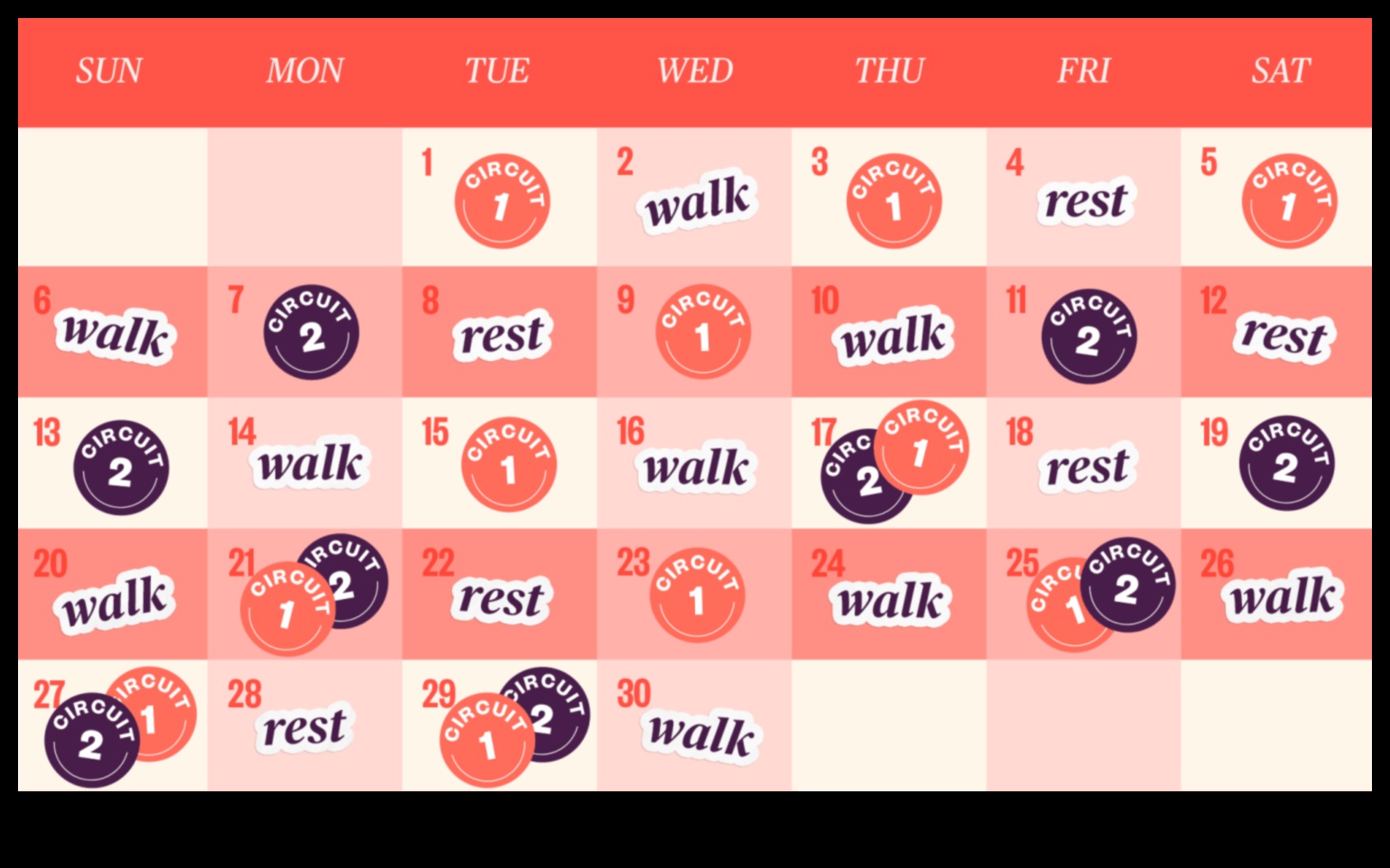 Crucial Core: Elevate Your Fitness with Targeted Workouts