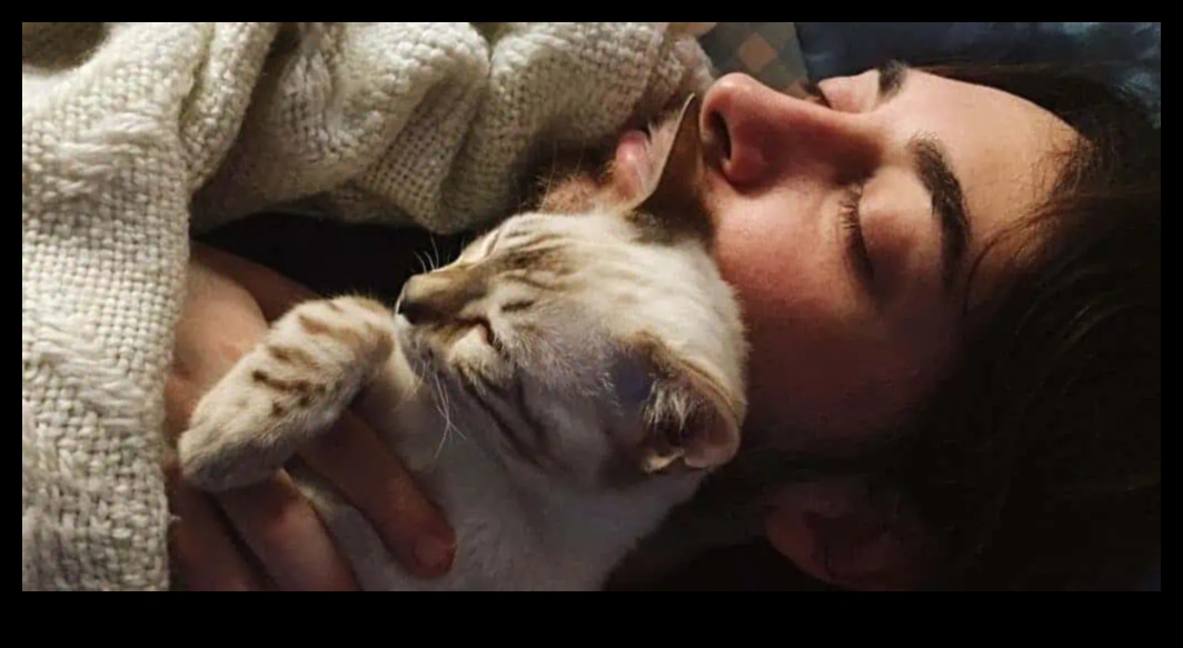 Cuddly Companions: Building Strong Bonds with Multiple Cats