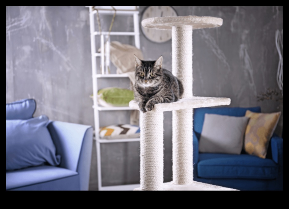 Cuddly Companions Tips for Creating a Cozy Space for Your Cat 1