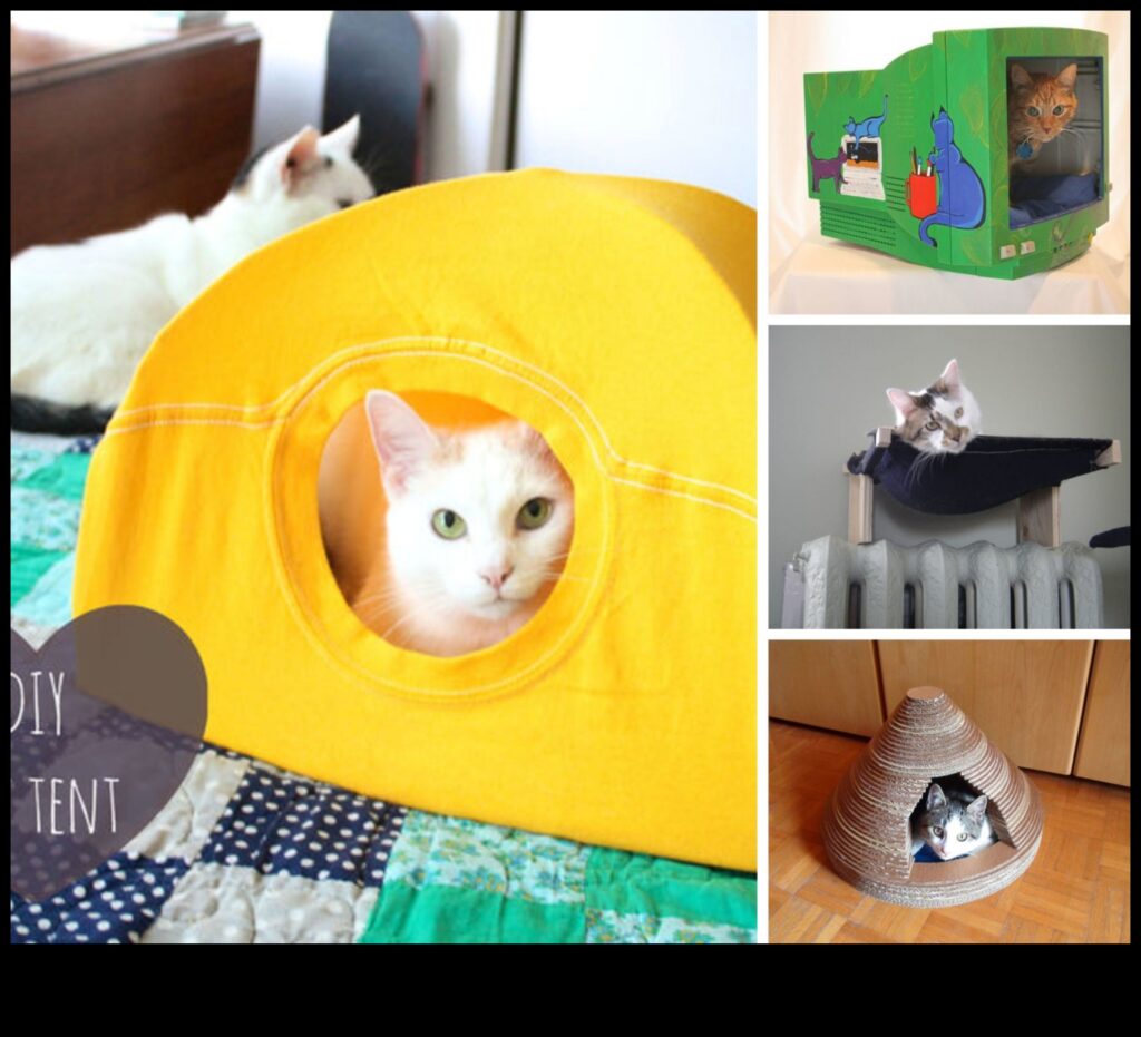 Cuddly Contraptions DIY Heated Beds for Cozy Cat Naps 1