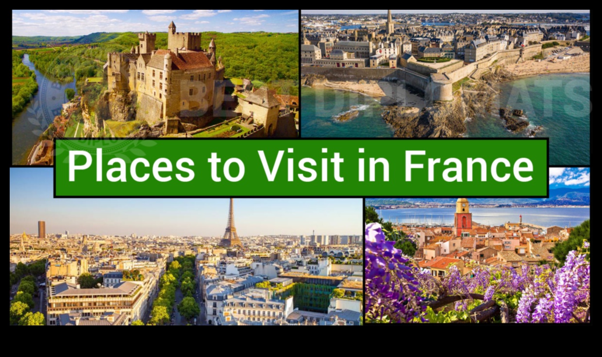 Cultural Resonance: Echoes from Global Heritage Sites